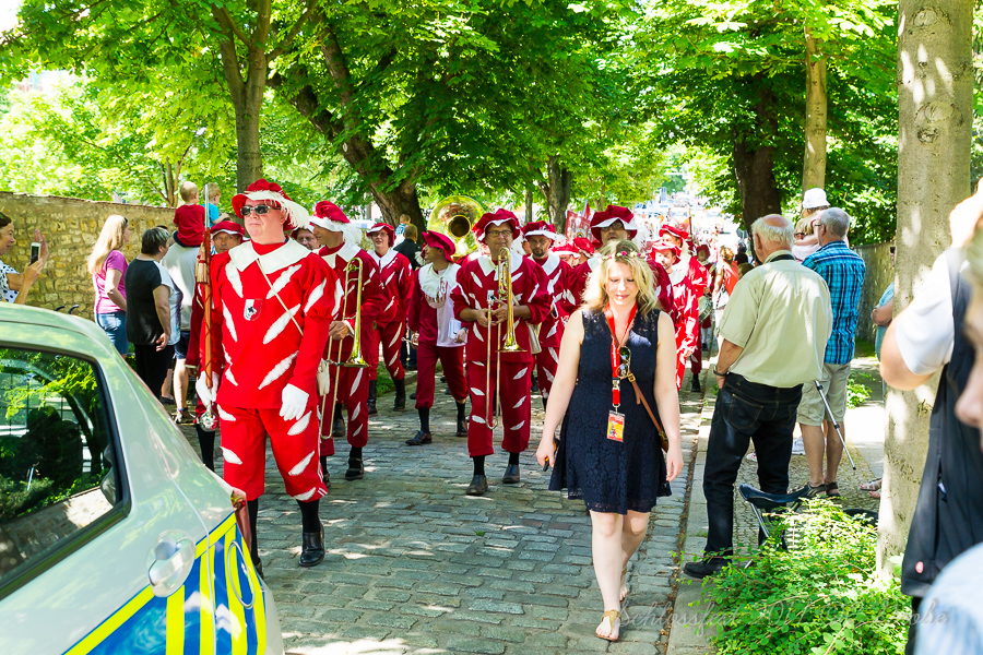 Schlossfest_2017_bearbeitet_wm_900px-00806