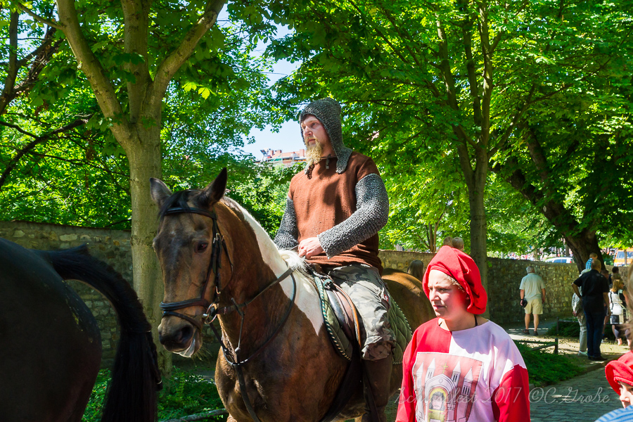 Schlossfest_2017_bearbeitet_wm_900px-00816